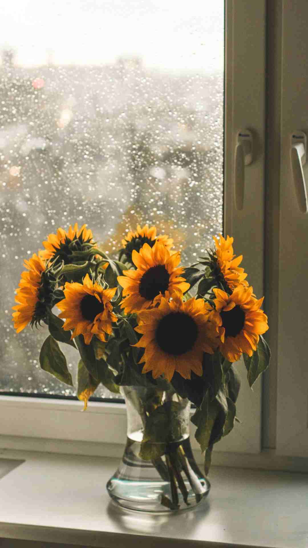 Sunflowers for Father's Day flowers