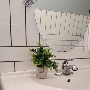 best plants for bathrooms without windows