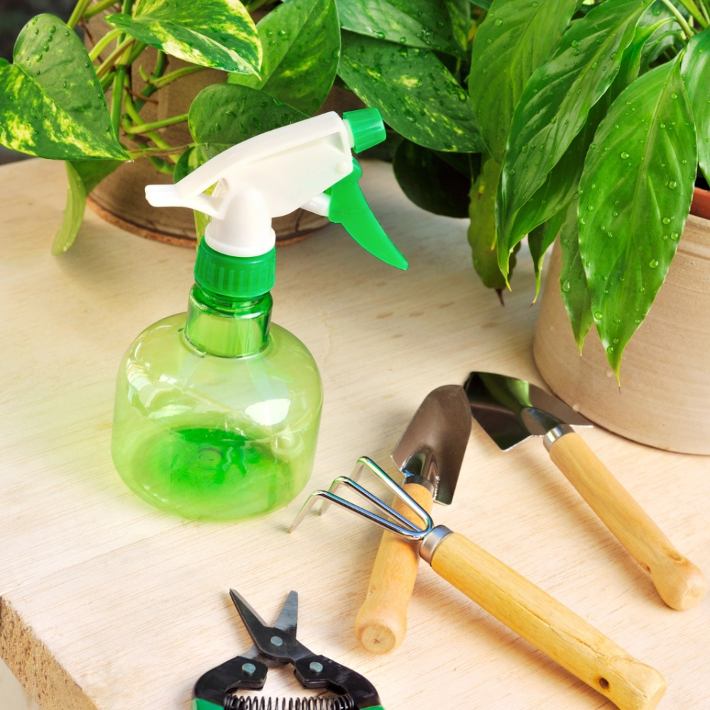 how to prune a pothos