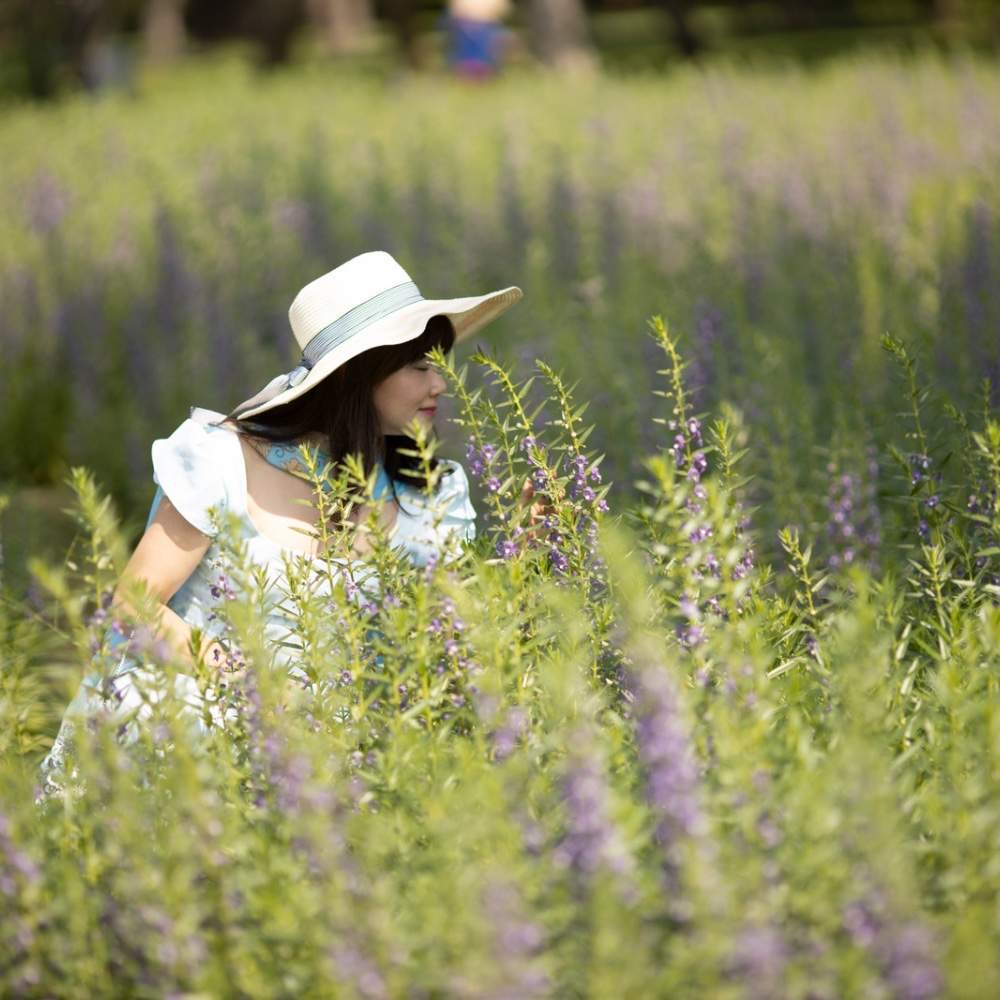 steps to prune lavender
